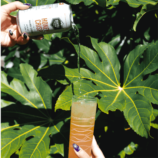 Tropical Screwdriver