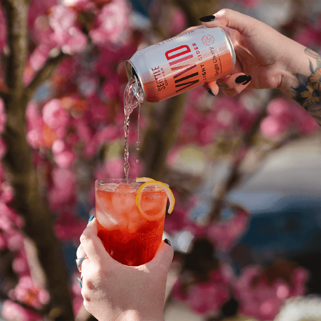 VIVID Cherry Blossom