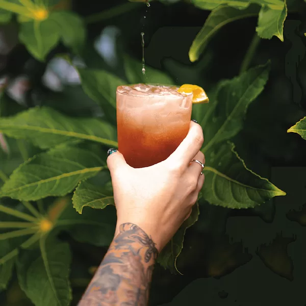 VIVID Tart Apple Negroni'ish